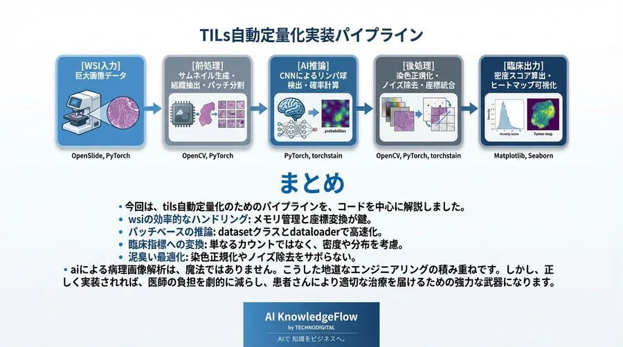 Python実装で学ぶTILs自動定量化の落とし穴と回避策 - Conclusion Image